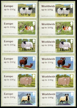 Ncr Iia Sheep Strips/6 Eur To 100g,  Ww To 100g Current Rates Post & Go