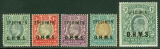 Sg 010s - 013s & 015s Somaliland Protectorate 1904 Specimen Set Of 5.