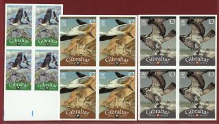 Gibraltar 1202 - 04,  Imperf Proof,  Block Of 4,  Birds
