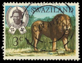 Swaziland 163a (sg229) - African Lion " 1975 Upright Watermark " (pa38433)