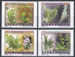 Ethiopia: 2012,  Medicinal Plants,  Mnh