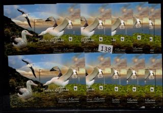 // 10x Tristan Da Cunha - Mnh - Wwf - Animals - Bird - Nature