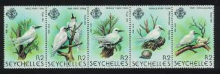 Seychelles Terns Birds Strip Of 5v Mnh Sg 500 - 504