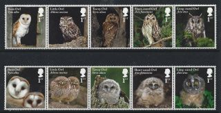Great Britain 2018 Owls Set Of 10 In Two Strips Unmounted,  Mnh