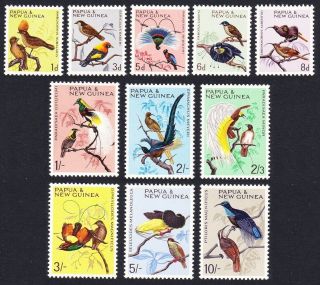 Papua Ng Bird Of Paradise Bovebird Sicklebill Birds 11v Mnh Sg 61 - 71 Mi 62 - 72