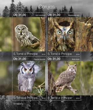 Sao Tome 2019 Fauna Owls S201903