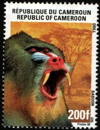 Cameroon Cameroun Kamerun 1998: Baboon 200 F,  Mnh