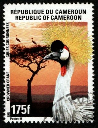 Cameroon Cameroun Kamerun 1998: Crowned Crane 175 F,  (cancelled)