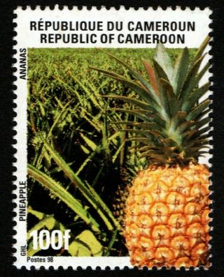 Cameroon Cameroun Kamerun 1998: Pineapple 100 F,  Mnh