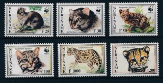 [su844] Suriname Surinam 1995 Animals Wwf Mnh