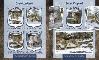 Sierra Leone 2016 Wild Cats Big Cats Snow Leopards Klb,  S/s Mnh