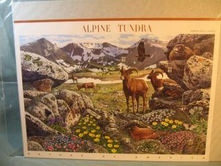 Souvenir Sheet Of Alpine Tundra 41 Cent Usa Stamps 2007 Scott 4198 Mnh,