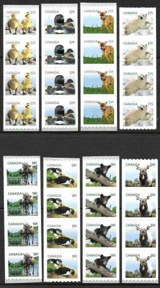 Canada 2011 - 14 Young Wildlife P.  8 Imperf Coil Strips 4,  Um/mint Hinged.