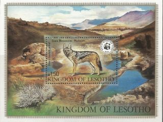 Lesotho 1982 Wwf World Wildlife Fund Souvenir Sheet Sc 356 Complete Mnh 0321