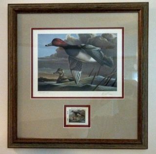 Duck Print And Stamp Framed " Redheads " By Dietmar Krumrey 2003 Edition C.  E.