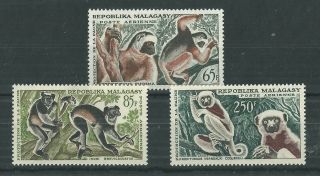 Malgasy 1961 Lemurs Top Values Mlh