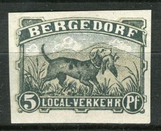 Germany 1860s - 70s Bergedorf Privat Local Post Hinged 5pf.  Value,  Imperf