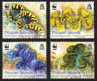 Pitcairn Wwf Fluted Giant Clam 4v Mnh Sg 865 - 868