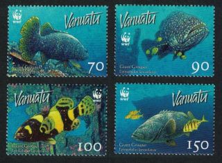 Vanuatu Wwf Giant Grouper 4v Mnh Sg 983 Mi 1304 - 1307 Sc 908