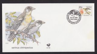 South Africa 1995,  Fdc,  Illustrated Cover,  Birds
