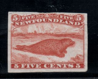 Newfoundland 25tci Very Fine Plate Proof In Orange Red