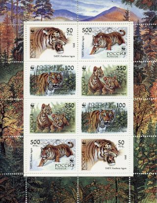 Russia 1993 Mnh Tigers Wwf 8v M/s Big Cats Wild Animals Stamps