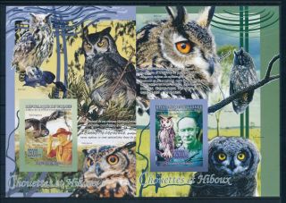 [96599] Guinea 2008 Scouting Baden Powell Owls 2 Imperf.  Sheets Mnh
