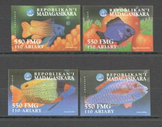 Bz129 Imperforate Madagascar Fish & Marine Life Gold Fish Set Mnh