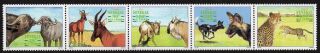 Senegal 1997 Strip Of Stamps Mi 1480 - 1484 Mnh