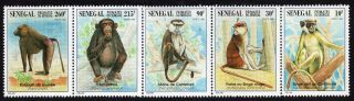 Senegal 1996 Strip Of Stamps Mi 1447 - 1451 Mnh