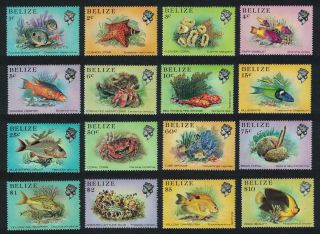 Belize Fishes Starfish Crab Marine Life From The Belize Coral Reef 16v Mnh