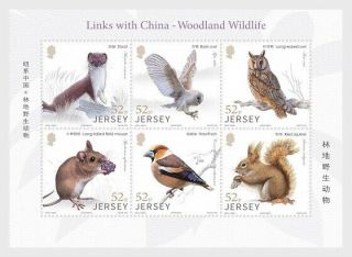 Jersey 2019 Links With China - Woodland Wildlife Birds Sheet Mnh