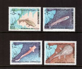 Somalia Mnh 1979 Fish Nature Set Stamps
