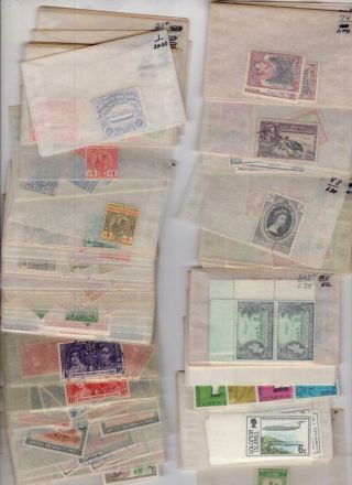 Solomon Islands - Dealers Stock Of Stamps In Glassines -