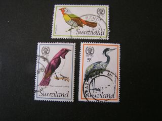 Swaziland,  Scott 246 - 248 (3),  1976 Local Birds Issue