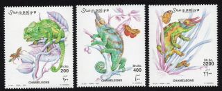 Somalia 2001 Complete Set Of Stamps Mi 882 - 884 Mnh Cv=17€
