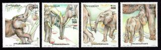 Somalia 2000 Complete Set Of Stamps Mi 855 - 858 Mnh Cv=18€