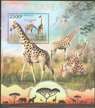 Togo 2013 Wild Animals Of West Africa Giraffe Souvenir Sheet