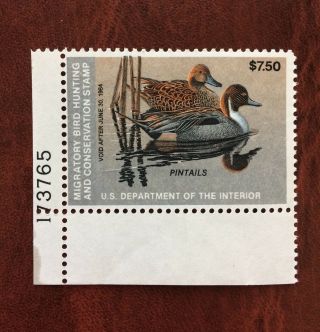 Vintage Us Duck Hunting Stamp,  Rw50