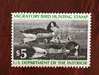 Vintage Us Duck Hunting Stamp,  Rw43