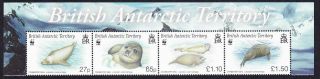 Bat Wwf Crabeater Seal Strip With Territory 