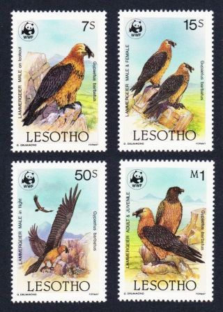 Lesotho Wwf Lammergeier Birds 4v Mnh Sg 677=683 Mi 556 - 559 Sc 512 - 515