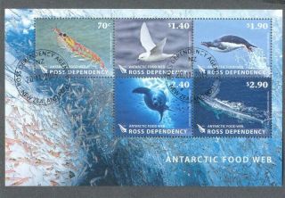 Ross Dependency - Antarctic Food Web Min Sheet Fine - Conservation - Birds -