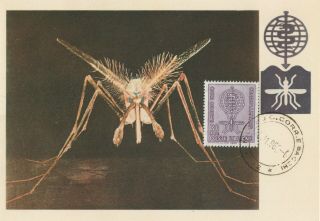 Malaria Paludisme 1962 Italy Maximum Card 30 Lire