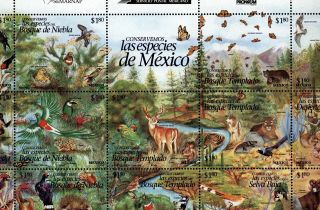 Mexico Scott 1995 " Las Especies De Mexico " Nh Sheet Of 25