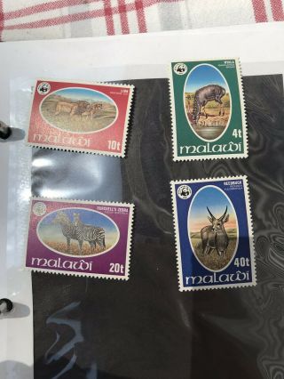 Malawi Stamp Scott 319 - 322 Og Nh $65