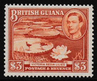 Decimal,  South America,  Guyana,  British Guiana,  Kgvi $3 Red,  Sg319b,  Mh,  Cv£42,  1774