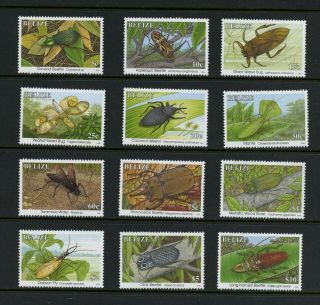 R398 Belize 1996 Insects Beetles Dated 1996 12v.  Mnh