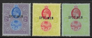 Sierra Leone Stamps 1912 Sg 125 - 127 Specimen Mlh Vf