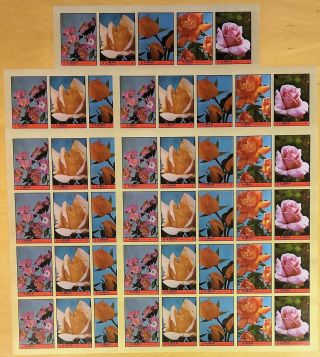 B297.  5x Ajman - Mnh - Nature - Flowers - Imperf - Full Sheet -